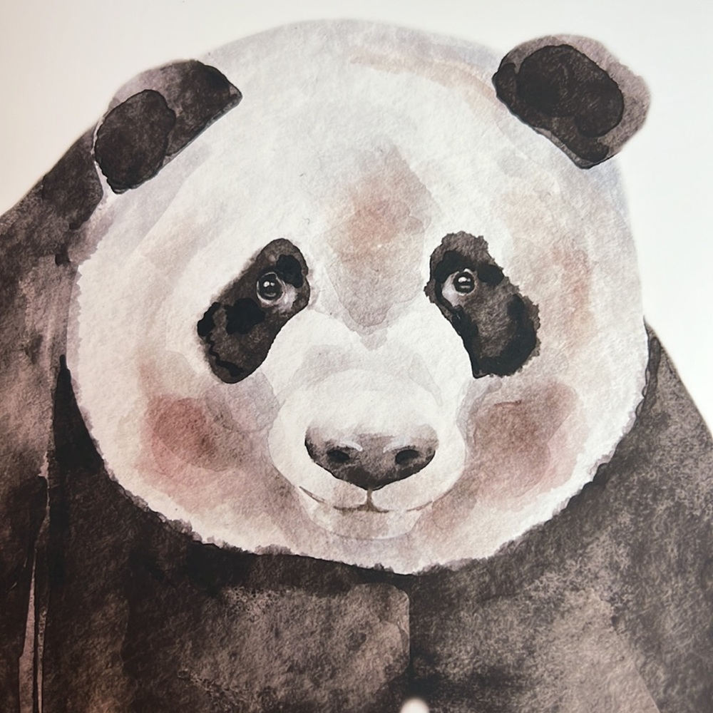 Watercolor Panda Portrait Wall Art Print Poster Unframed - Picture 15 of 16